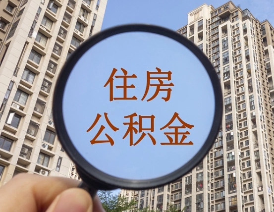伊川退休后查不到公积金明细了吗（退休后公积金查询不到原因）